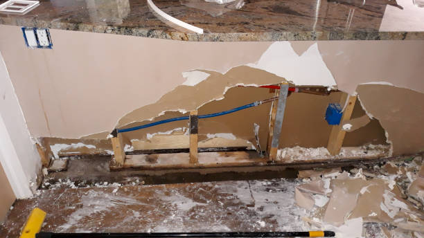 Best Basement water damage restoration  in Whitewright, TX